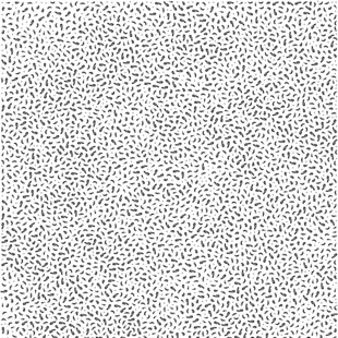 细菌虫子热压纹肌理