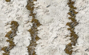 高清咖啡色斑驳岩石纹理