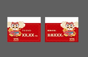 蛇年新年异形车顶牌