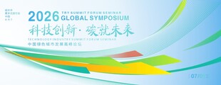 新能源会议背景