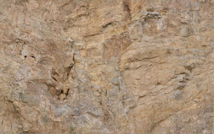 高清斑驳红褐色岩石纹理