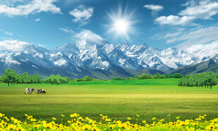 蓝天白云大草原