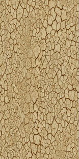 高清斑驳褐色泥墙纹理