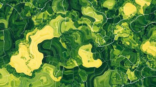 等高线素材-等高线图片-等高线设计模板-昵图网_昵享网 soso.nipic.cn