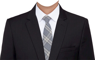 男西服西装正装证件照衣服素材