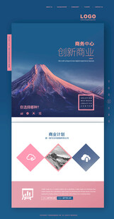 商业网站设计