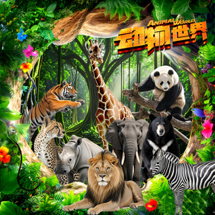 动物背景墙
