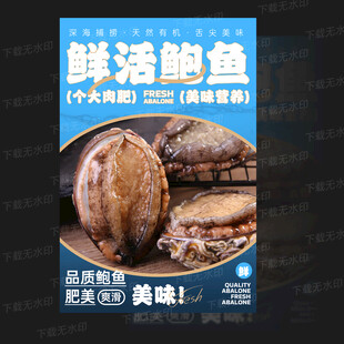 鲍鱼