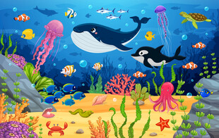 卡通海洋鲸鱼海底动物珊瑚背景墙