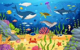 卡通鲸鱼可爱海底动物珊瑚背景墙