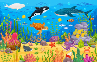 梦幻海底动物卡通鲸鱼珊瑚背景墙