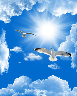 蓝天白云天花软膜