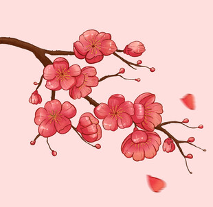 梅花手绘素材