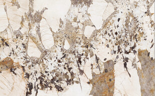 高清褐色沙漠石大理石