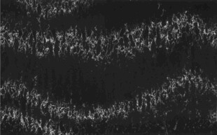 高清芝麻灰大理石