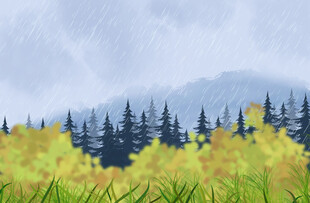 森林小雨