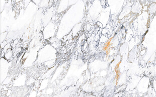 高清鱼肚白网纹大理石