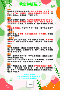 月季种植小清新单页