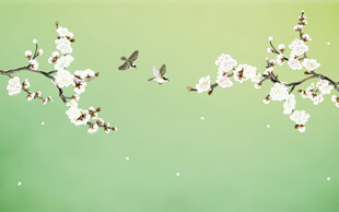 新中式工笔花鸟梅花背景墙装饰画