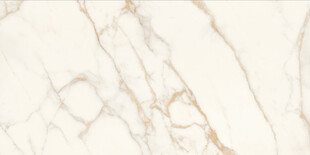 米黄鱼肚金大理石