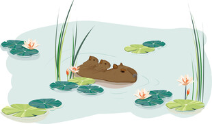 卡皮巴拉 矢量图