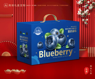 蓝莓包装 水果礼盒