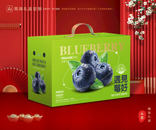 蓝莓包装 水果礼盒