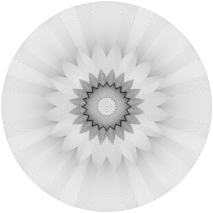 圆形防伪纹团花