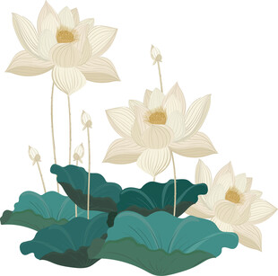 荷花 矢量图