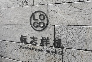 大理石LOGO样机