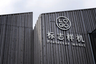 LOGO样机