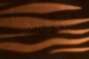 品牌LOGO皮革样机