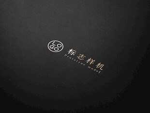 高端LOGO样机