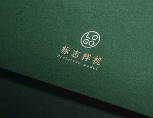 高端LOGO样机
