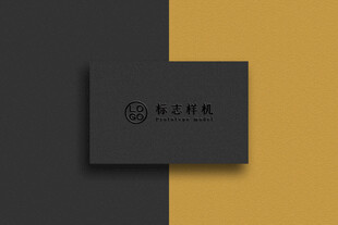 高端LOGO样机