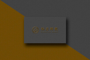 高端LOGO样机