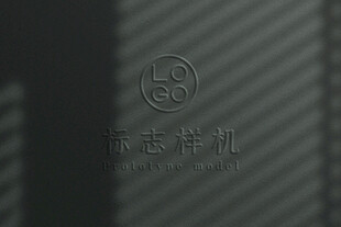 高端LOGO样机