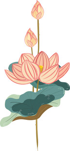 荷花 矢量图