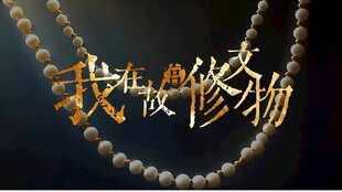 我在故宫修文物