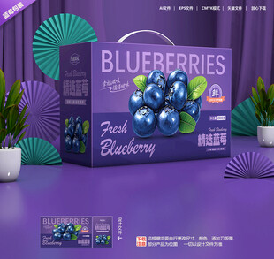 蓝莓包装