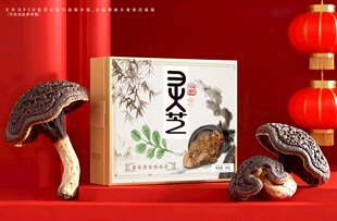 灵芝包装礼盒