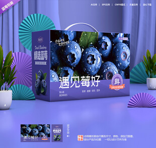 蓝莓包装