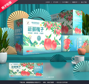 桃子礼盒 油桃包装