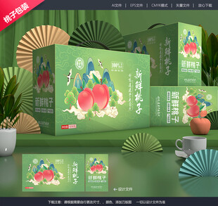 桃子礼盒 油桃包装