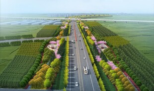 乡村道路效果图