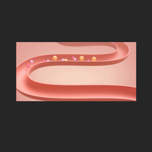 肠道益生菌动画