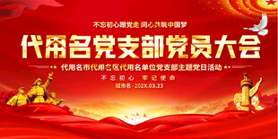 党支部党员大会