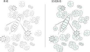 俯瞰荷花 矢量图