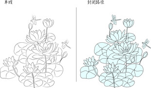 荷花蜻蜓 矢量图