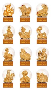 十二生肖运势png图标